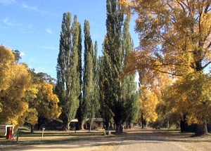 Omeo Caravan Park - Tourism Brisbane 0