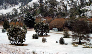 Omeo Caravan Park - Tourism Brisbane 1