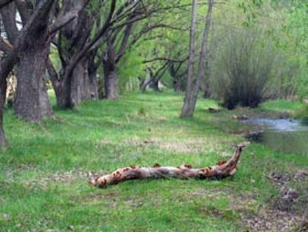 Omeo Caravan Park - Tourism Brisbane 3
