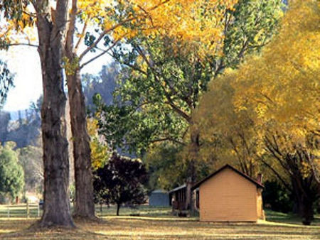 Omeo Caravan Park - Tourism Brisbane 4