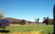 Klinwara Cottage - thumb 1