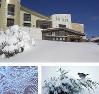 Chalet Hotham - Tourism Brisbane
