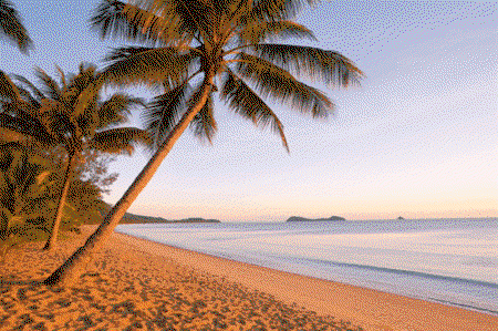 Kewarra Beach Resort And Spa - Tourism Brisbane 1