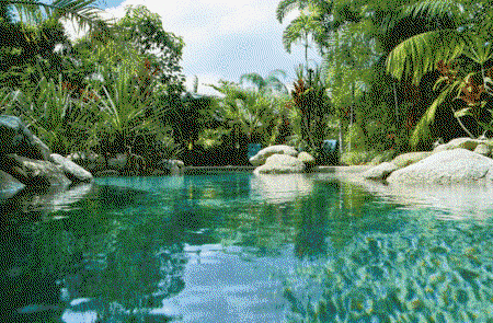 Kewarra Beach Resort And Spa - Tourism Brisbane 2