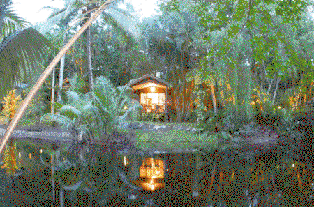Kewarra Beach Resort And Spa - Tourism Brisbane 3