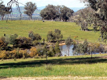 Gaddleen Grove Cottages - Tourism Brisbane 3