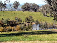 Gaddleen Grove Cottages - Tourism Brisbane 5