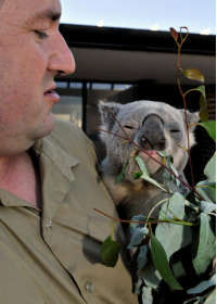 Consise By Moonlight Head Private Lodges - Tourism Brisbane 5