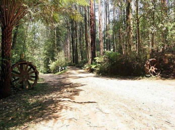 Hill N Dale Farm Cottages - Brisbane 4u 0