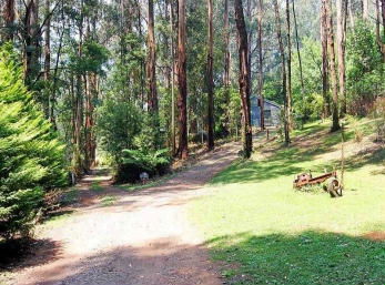 Hill N Dale Farm Cottages - Brisbane 4u 1