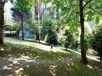 Hill N Dale Farm Cottages - Brisbane 4u 2