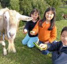 Johanna River Farm and Cottages - Brisbane Tourism