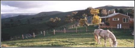 Idlewild Park Farm Accommodation - Tourism Brisbane 1