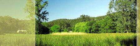  Brisbane Tourism