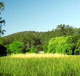 Waterholes Guest House - Brisbane Tourism