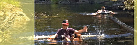 Waterholes Guest House - Tourism Brisbane 3