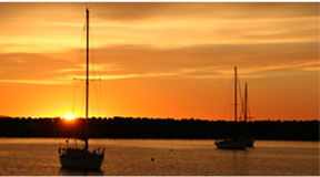 Apollo Bay Holiday Park - Brisbane 4u 2
