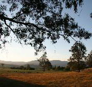 Cann River Rainforest Caravan Park - Brisbane Tourism