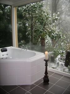 Arnica Views Luxury Retreat - Brisbane 4u 3
