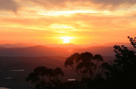 Avocado Sunset - Brisbane 4u 0