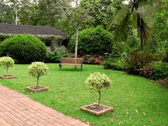 Tall Trees Motel - Brisbane Tourism 2