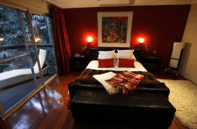 Songbirds Rainforest Retreat - Brisbane 4u 4