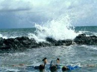 Bargara Beach Motor Inn - Brisbane Tourism 0