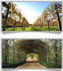 Morning Star Estate - Tourism Brisbane 1