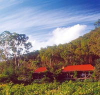 Cedar Creek Cottages - Brisbane Tourism