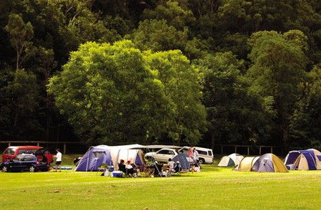 Del Rio Riverside Resort - Tourism Brisbane 4