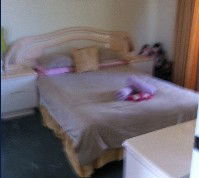 Lake Illawarra Bed & Breakfast - Tourism Brisbane 2