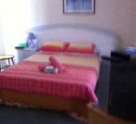 Lake Illawarra Bed & Breakfast - Tourism Brisbane 4