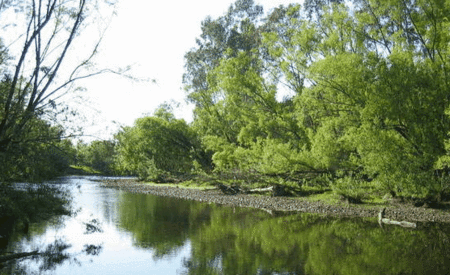 Ribbonwood Cottages - Tourism Brisbane