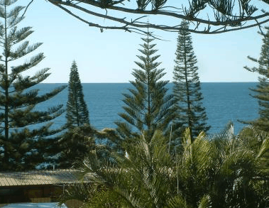 Next Seabreeze Beach Hotel - Tourism Brisbane 2