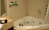 Club Motor Inn - Brisbane 4u 1