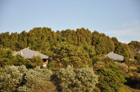 Tallaringa Views - Brisbane Tourism 0