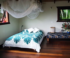 Coorabell ACT Tourism Brisbane