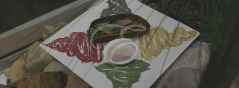 Peppers Spa - Palm Cove - Tourism Brisbane 5