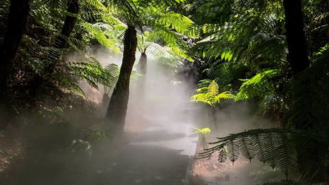 Australian National Botanic Gardens - Tourism Brisbane 4