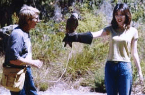 Eagles Heritage Raptor Wildlife Centre - Tourism Brisbane 2