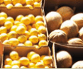 Brisbane Markets - Tourism Brisbane 0