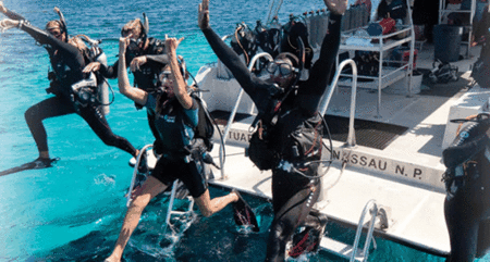 Snorkel Safari Brisbane - Tourism Brisbane