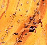 Rocksports Indoor Climbing - Tourism Brisbane
