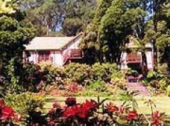  Tourism Brisbane