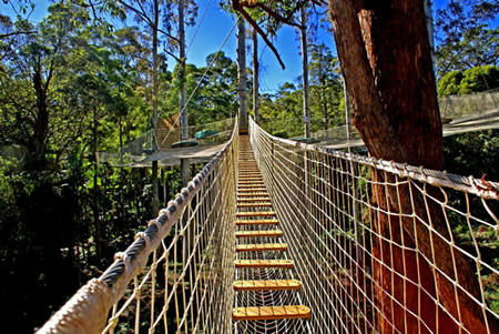  Tourism Brisbane