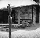 The Baldessin Press - Tourism Brisbane