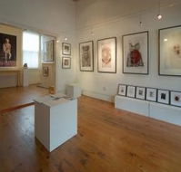 Bird's Gallery - Tourism Brisbane