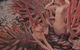 Bower Gallery - thumb 1