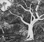 Tacit Contemporary Art - Tourism Brisbane