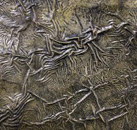 Hawthorn East VIC Tourism Brisbane